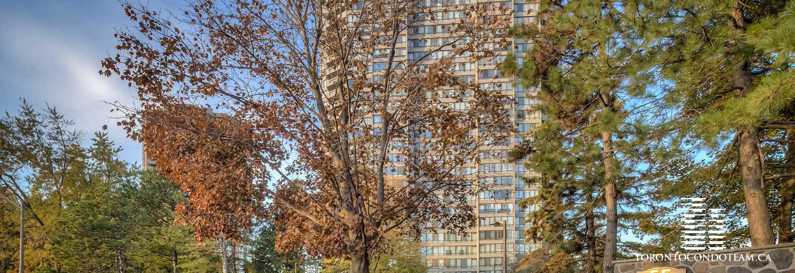 55 SKYMARK DRIVE