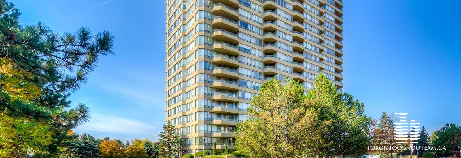 10 TORRESDALE AVE