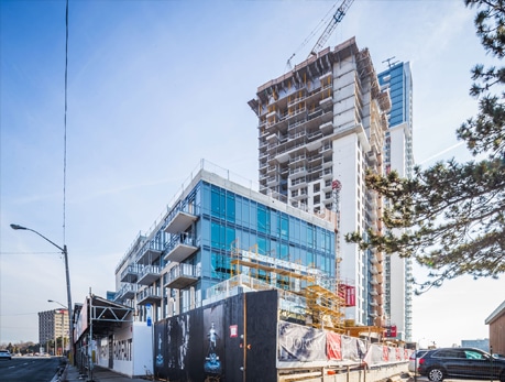 50 ANN O'REILLY RD