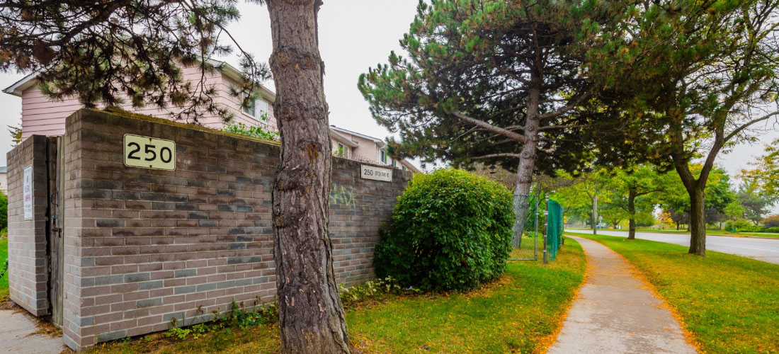 250 ORTON PARK RD GALLERY