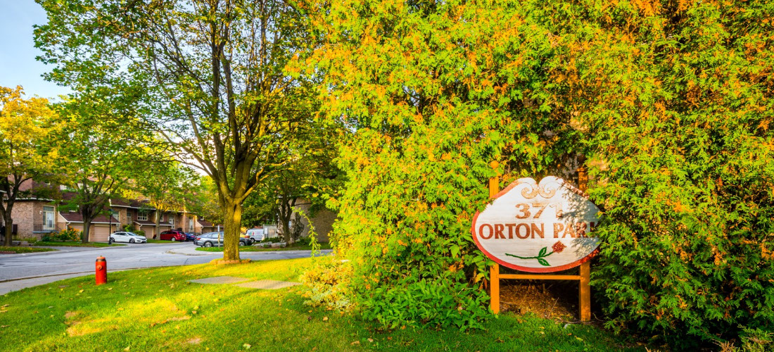 371 ORTON PARK GALLERY
